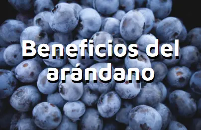 Artculo beneficios del arndanos