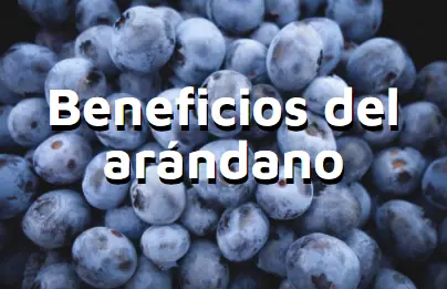 Artculo beneficios del arndano