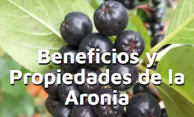 Beneficios y propiedades de la aronia