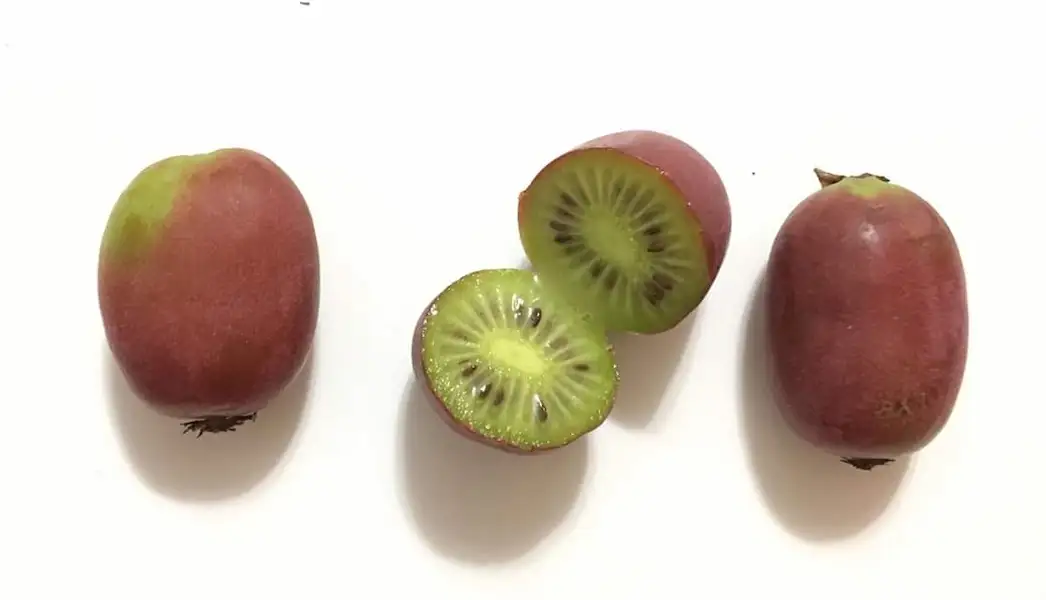 Beneficios para la salud del mini kiwi