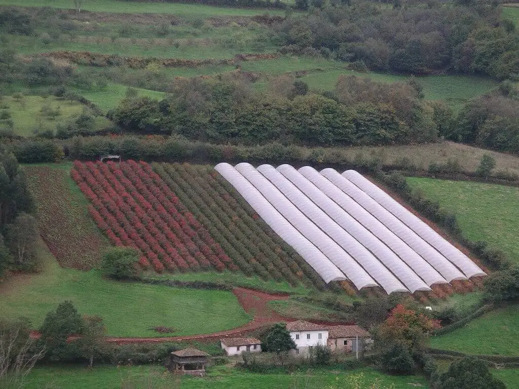 Arndanos el Cierrn