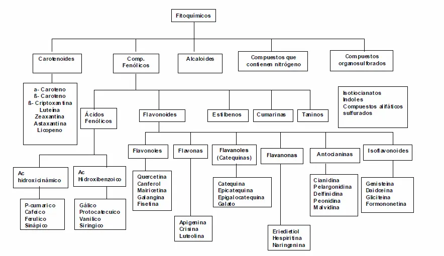 Tabla tipos de antioxidantes o fitoqumicos