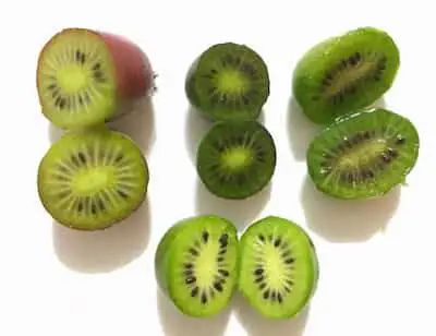 Fruto del kiwiño kiwiberry mini enano kiwi