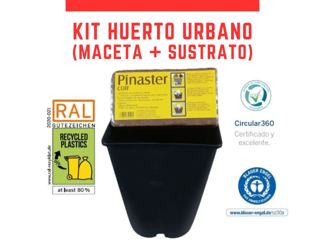 kit huerto urbano maceta y sustrato para frutos rojos