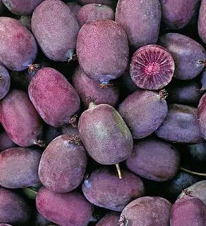 Venta online de plantas de mini kiwi Ken`s Red, Actinidia arguta x melanandra