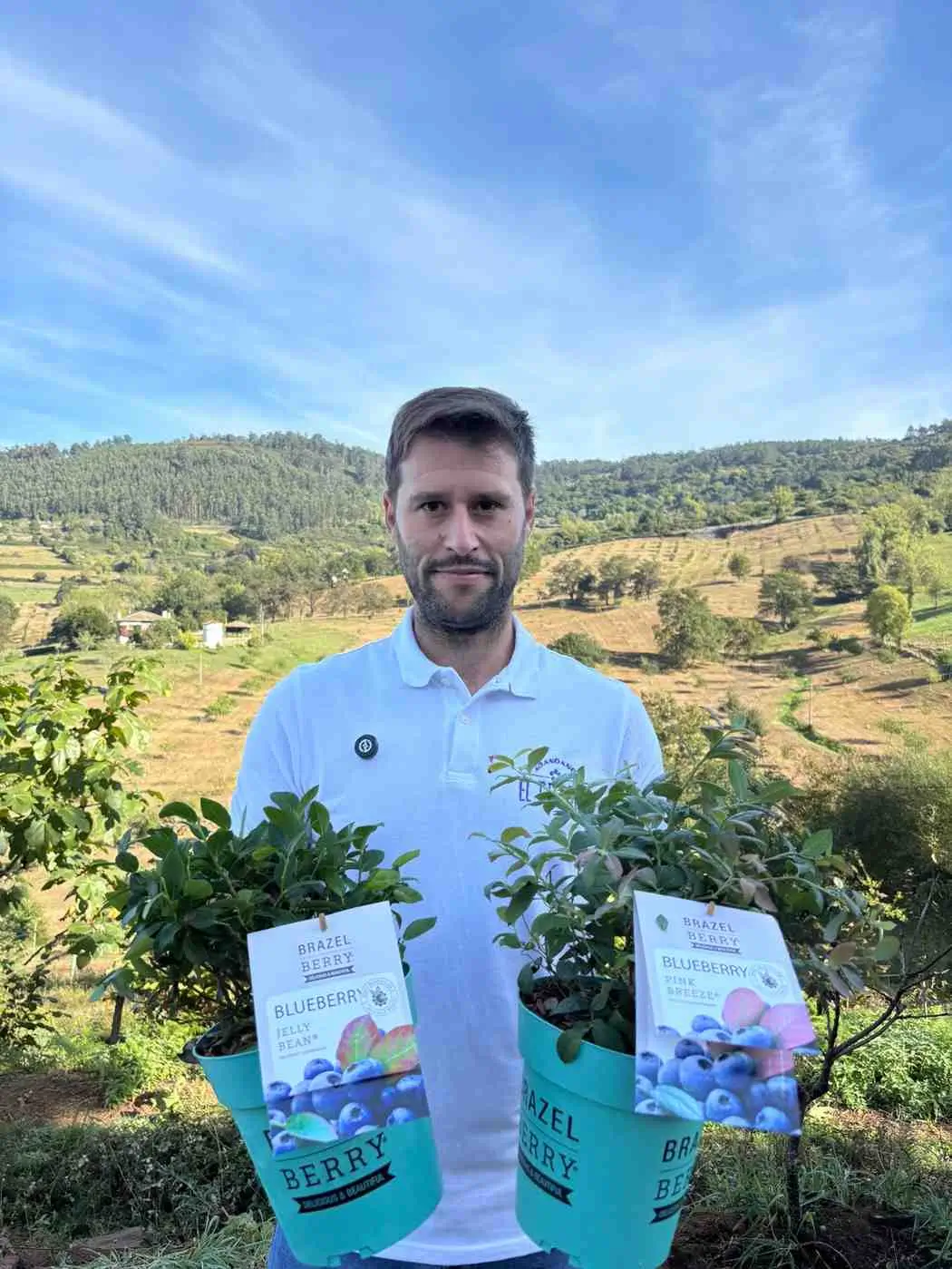 El Cierrón distribuidor Plantas Brazelberry
