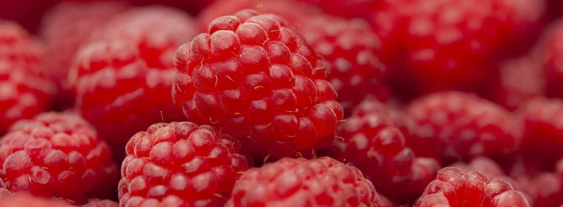 Venta online de plantas de frambuesas