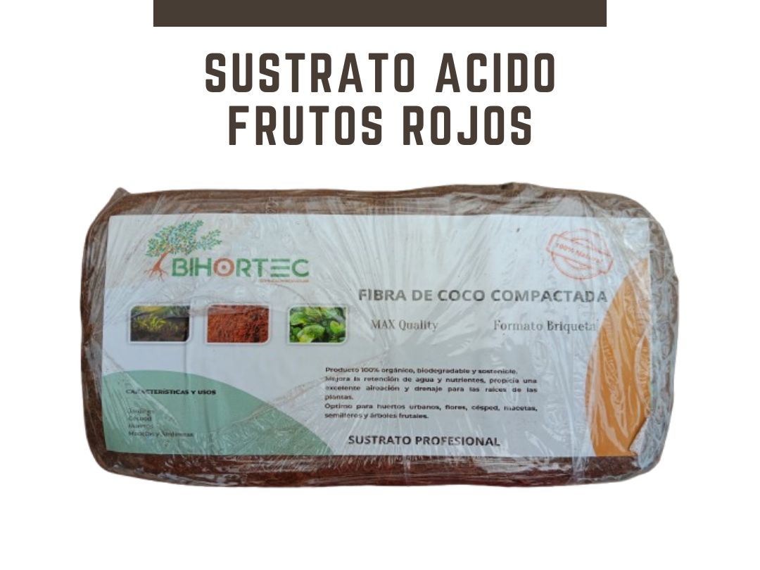 Plancha de sustrato acido de coco deshidratado frutos rojos