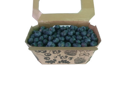 Venta online Tarrina Arndano venta online