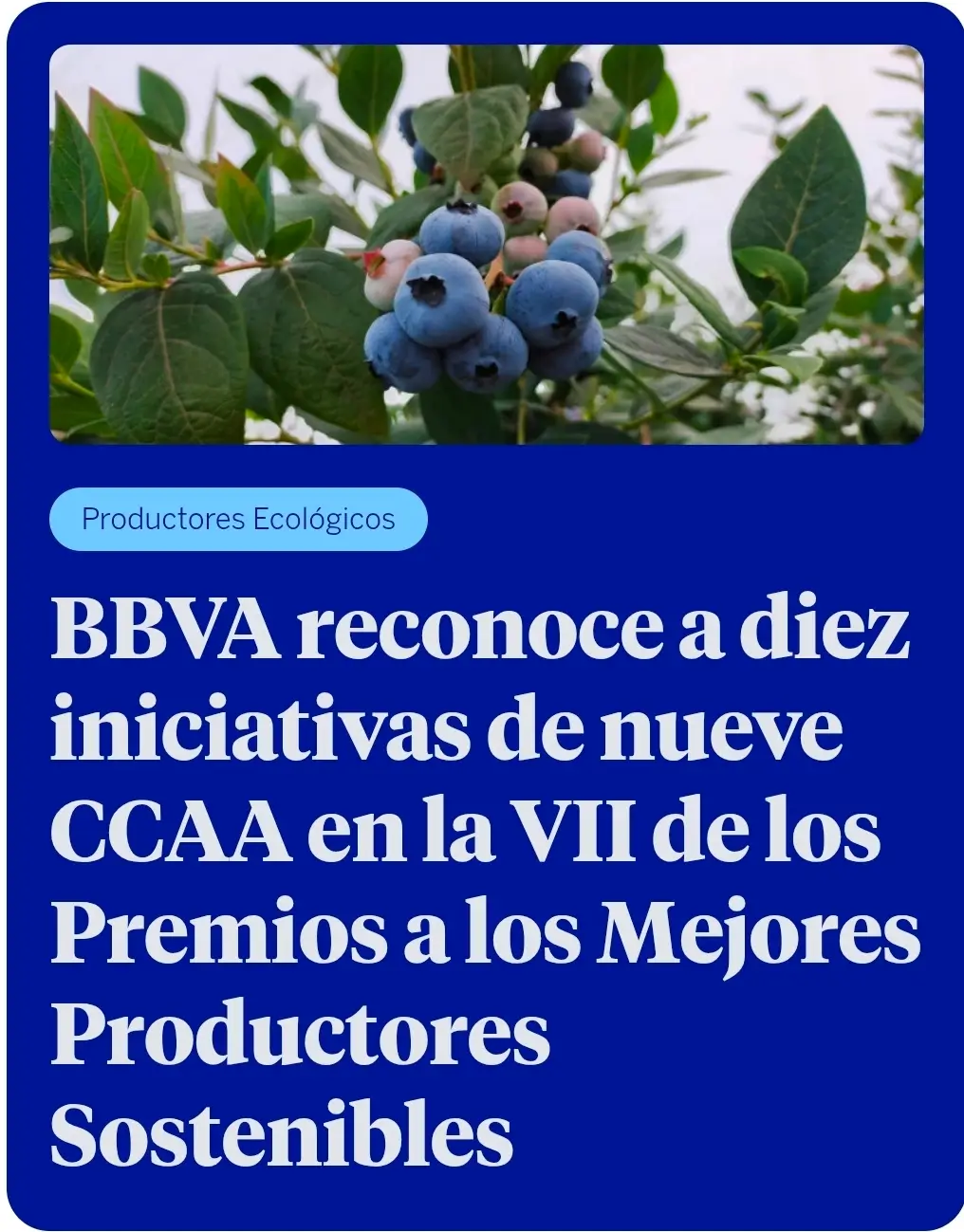 VII edici�n Premios BBVA Celler Can Roca