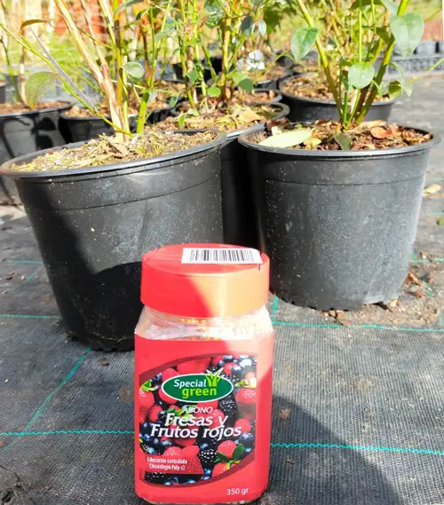 Venta de abono frutos rojos