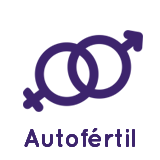 Polinizacin: Autofrtil