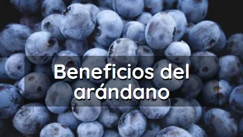 Beneficios salud comer arandano