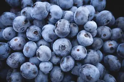 Beneficios del arndano azul (Vaccinium corymbosum)