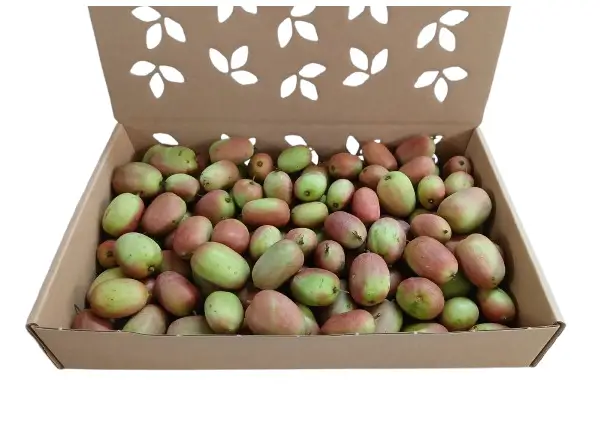 Venda online caixa 2 Kg de kiwiberries biolgicos