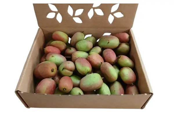 Venda online caixa 500 g de kiwiberries biolgicos