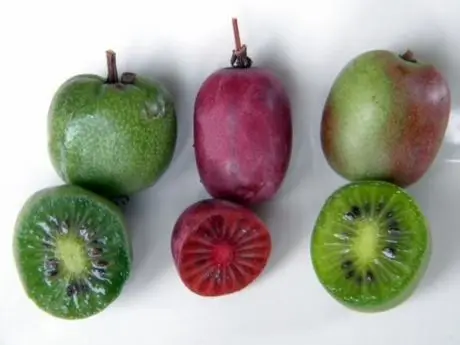 Mini kiwis ecologicos de colores cortados a la mitad para ver como son por dentro