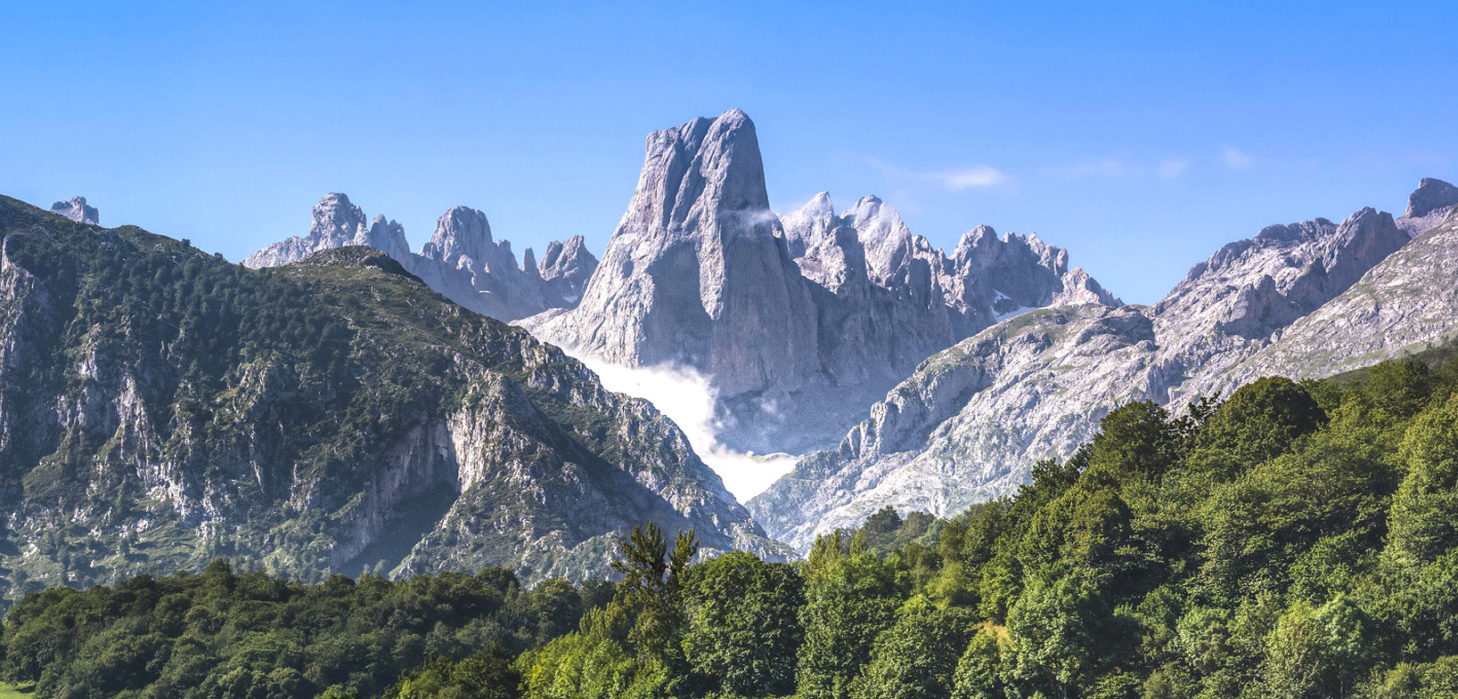 Arndanos ecolgicos de Asturias