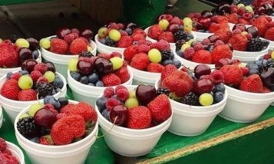O que so antioxidantes e fitoqumicos?