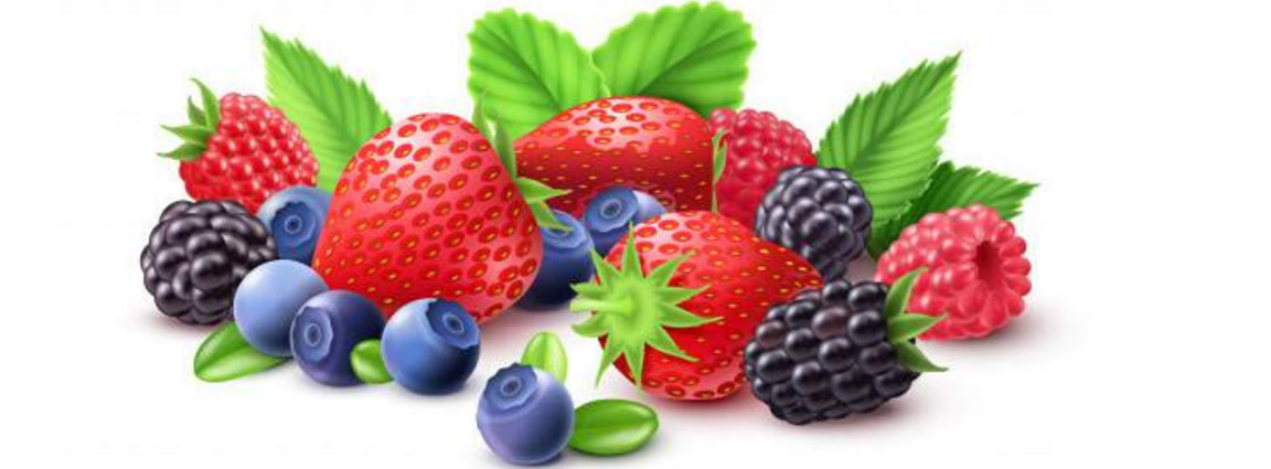 berries consulting