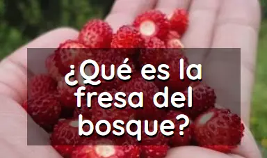 Artculo que es la fresa del bosque, Fragaria vesca