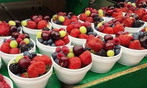 Que son los antioxidantes y fitoqumicos