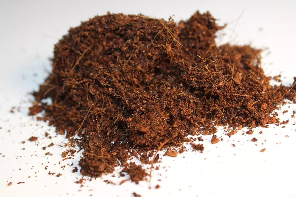 Sustrato acido coco para frutos rojos