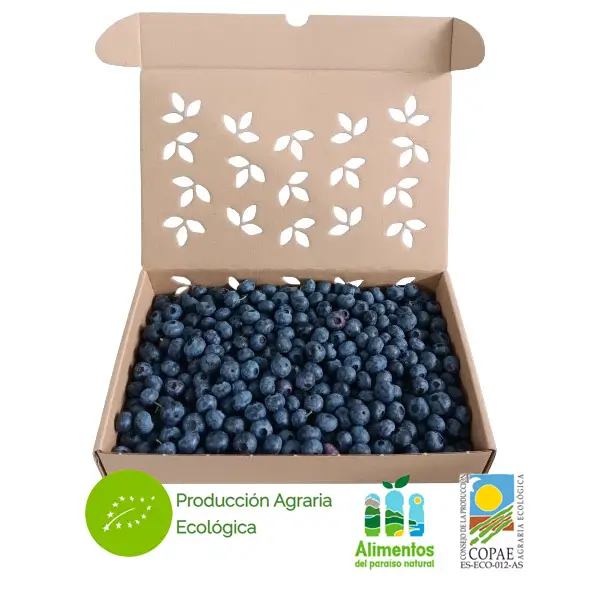 Venta online Tarrinas Arndanos Ecolgicos