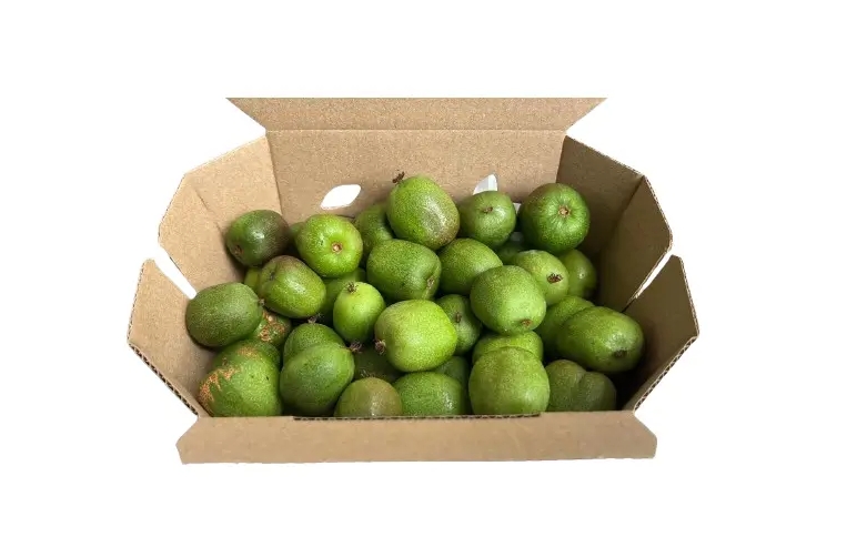 Venta online Tarrina mini kiwis kiwi�os Ecol�gicos