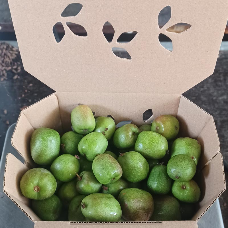 Tarrina de mini kiwis ecolgicos 2kg