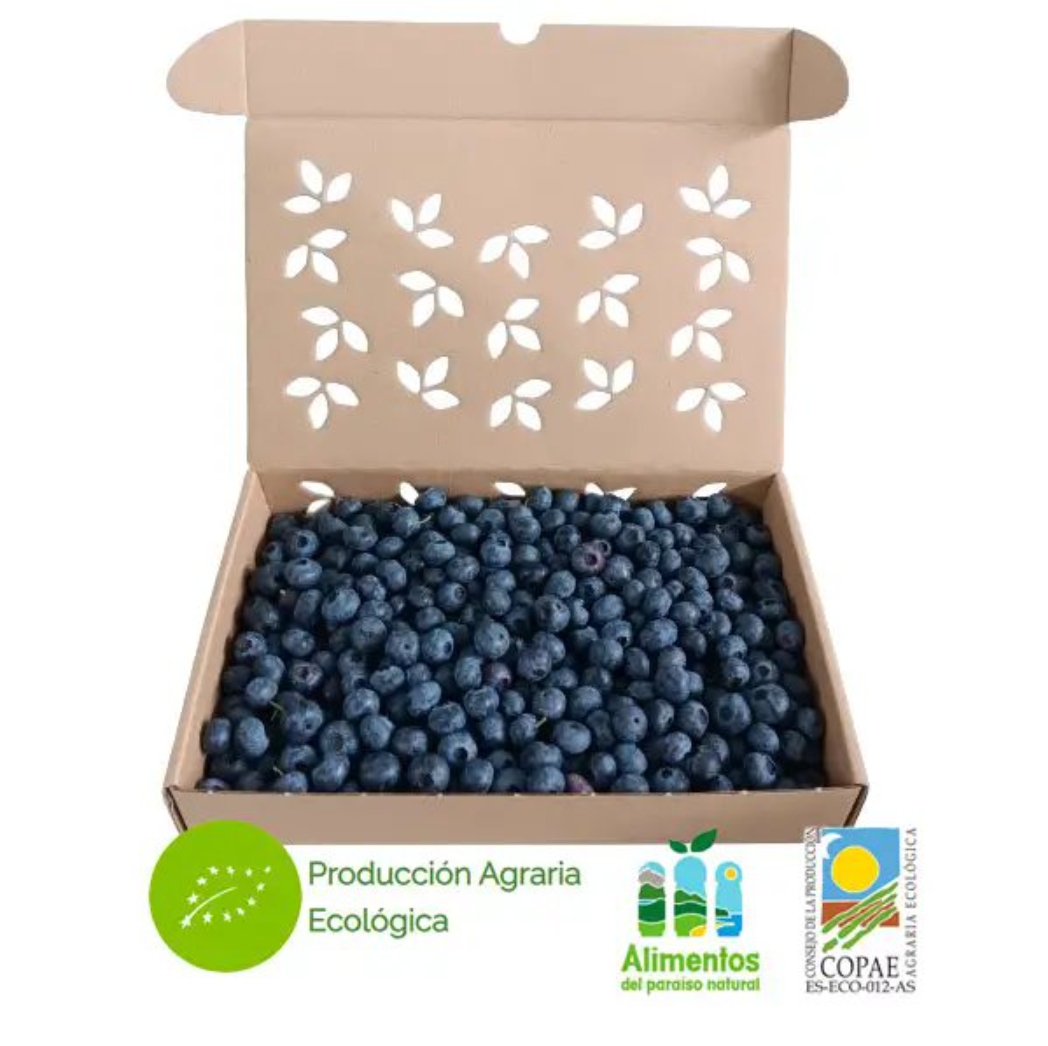 Venta online de tarrinas de arndanos de 1 kg